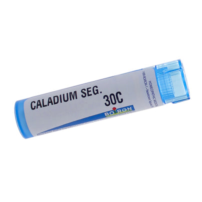 Caladium Seguinum 30c Pellets