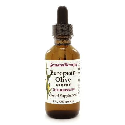 European Olive/Olea Europaea 2 ounces