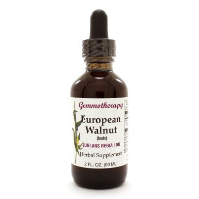 European Walnut/Juglans Regia 2 ounces