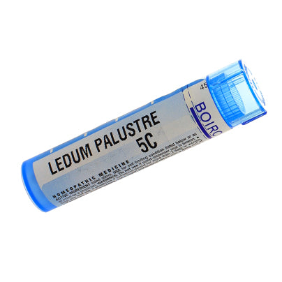 Ledum Palustre 5c Pellets