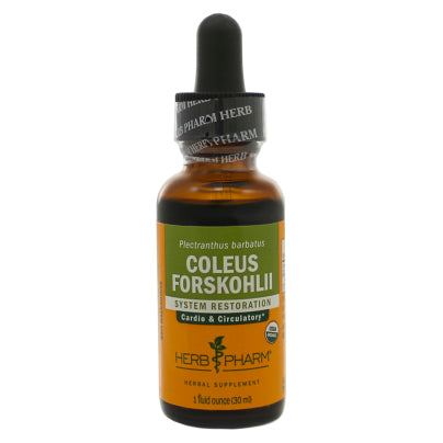 Coleus Forskohlii 1 Ounce