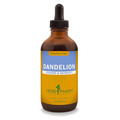 Dandelion Glycerite 4 Ounces