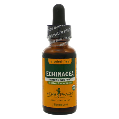 Echinacea Glycerite 1 Ounce