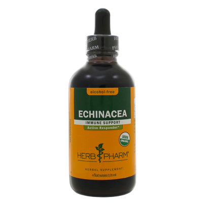 Echinacea Glycerite 4 Ounces