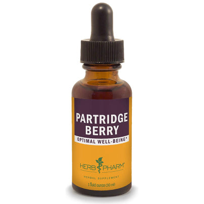 Partridge Berry (Squaw Vine) 1 Ounce