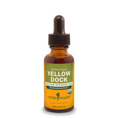 Yellow Dock 1 Ounce