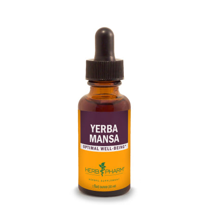 Yerba Mansa 1 Ounce