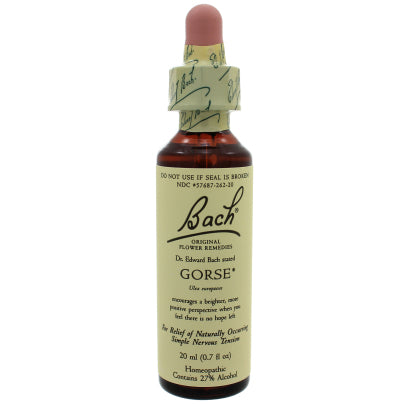 Gorse 20 Milliliters