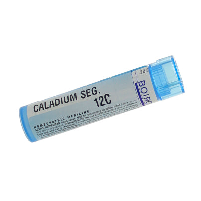 Caladium Seguinum 12c Pellets