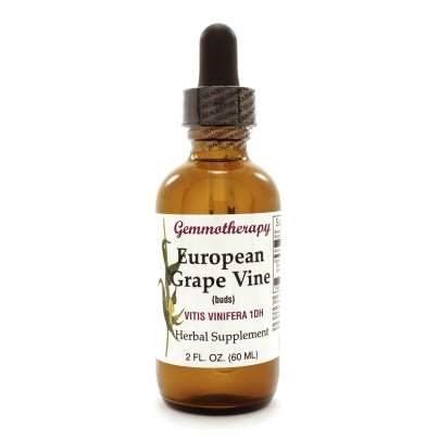 European Grape Vine/Vitis Vinifera 2 ounces