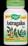 Astragalus Root 100 capsules