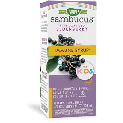 Sambucus for Kids Berry Flavor 4 Ounces