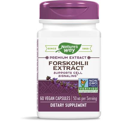 Forskohlii Extract 60 capsules