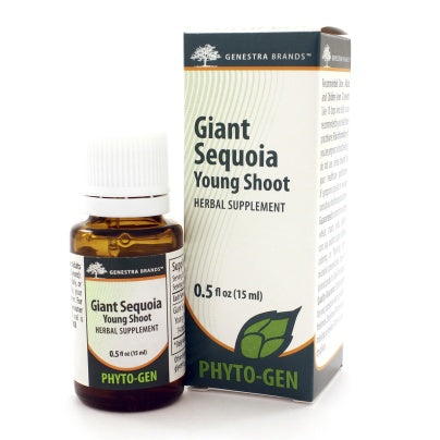 Giant Sequoia Young Shoot 15 Milliliters