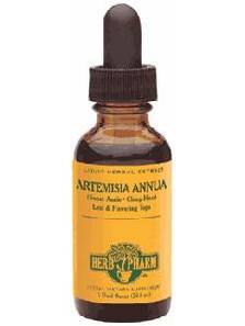 Artemisia Annua 4 Ounces