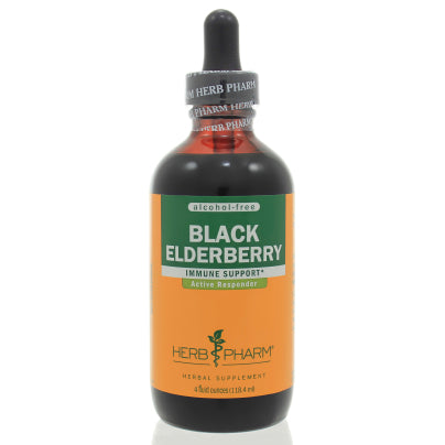 Black Elderberry Glycerite 4 Ounces