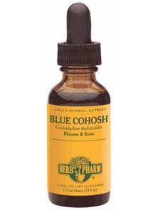 Blue Cohosh 4oz