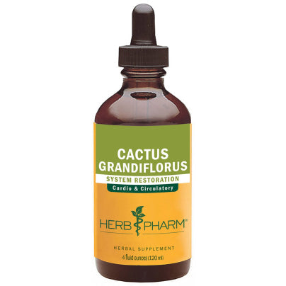 Cactus Grandiflorus 4 Ounces
