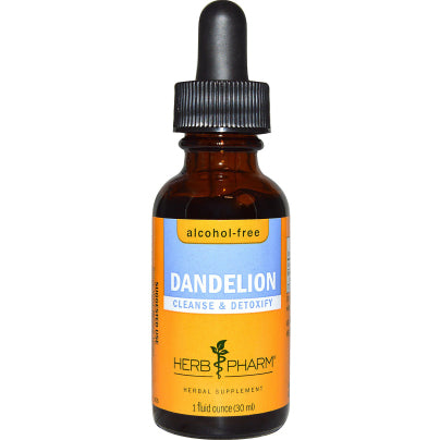 Dandelion Glycerite 1 Ounce