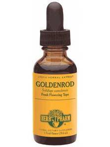 Goldenrod 1 Ounce