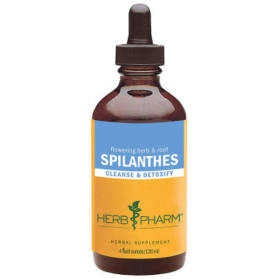 Spilanthes 4 Ounces