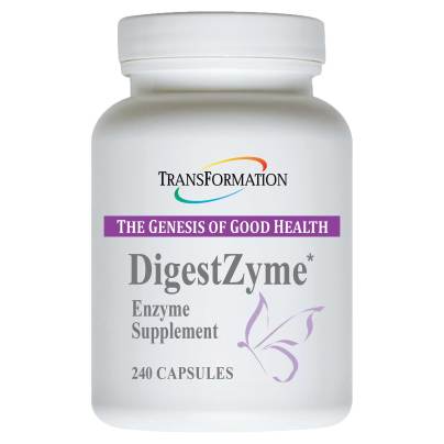 DigestZyme 240 capsules