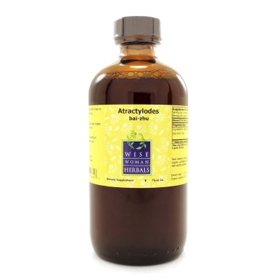 Atractylodes macrocephala - bai-zhu 8 Ounces