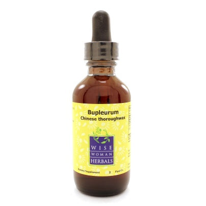Bupleurum chinense - Chinese thoroughwax 2 ounces