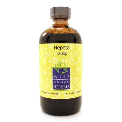 Nepeta cataria - catnip 8 Ounces